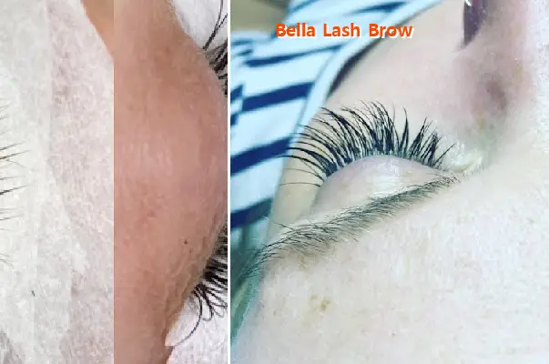 bella lash brow