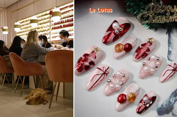 le lotus