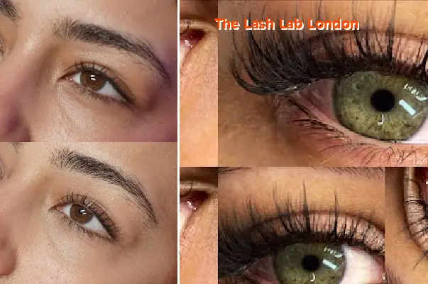 the lash lab london