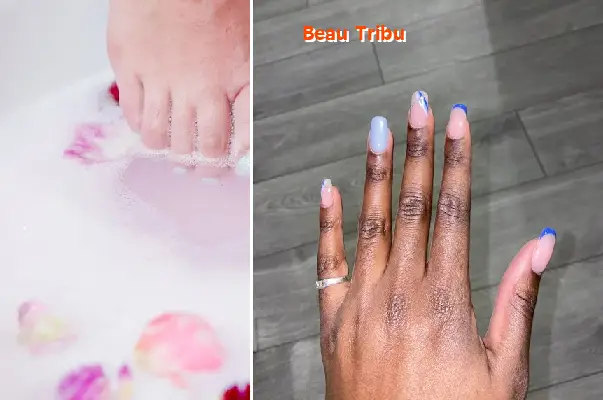 beau tribu