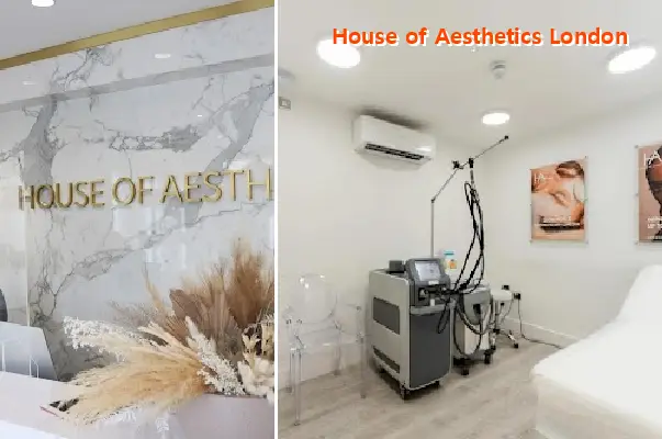house of aesthetics london