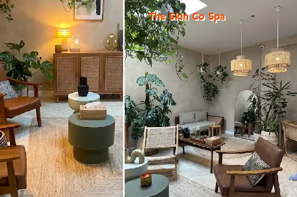 the skin co spa