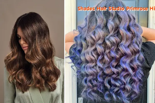 shades hair studio primrose hill