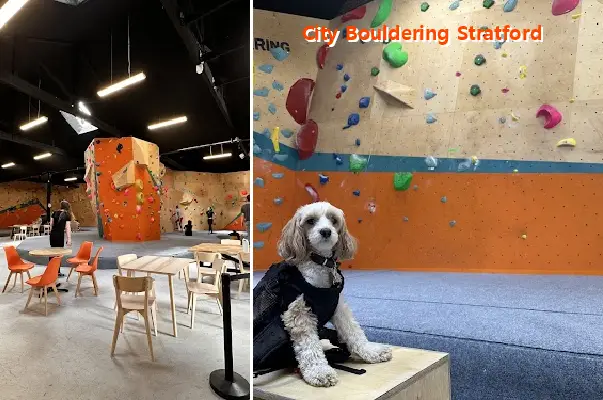 city bouldering stratford