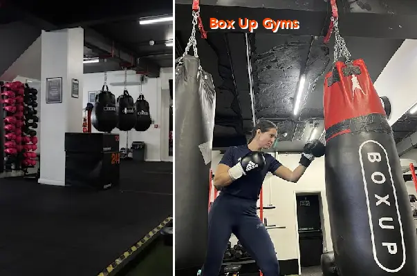 box up gyms