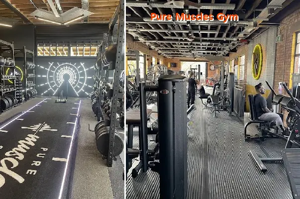 pure muscles gym