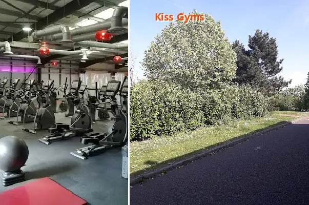 kiss gyms