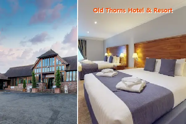 old thorns hotel & resort