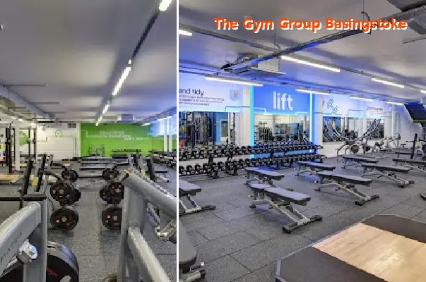 the gym group basingstoke