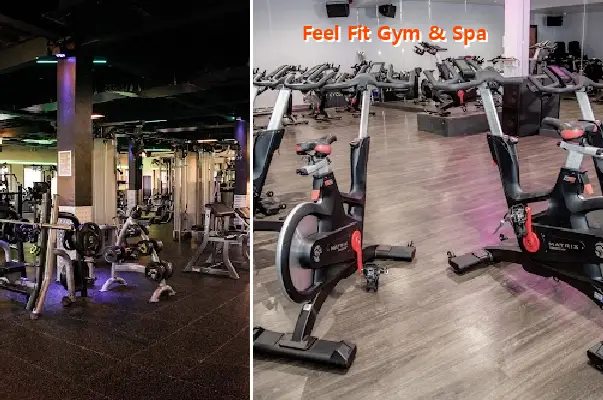 feel fit gym & spa
