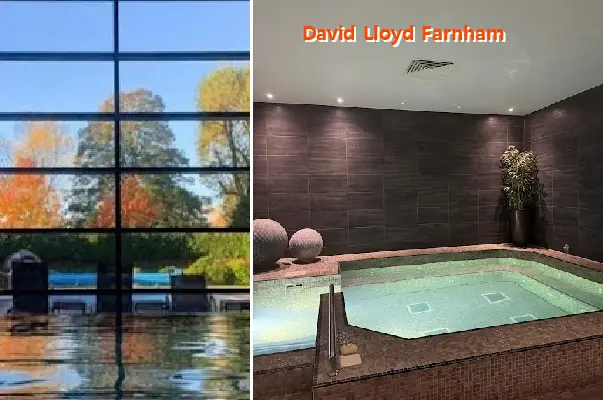 david lloyd farnham
