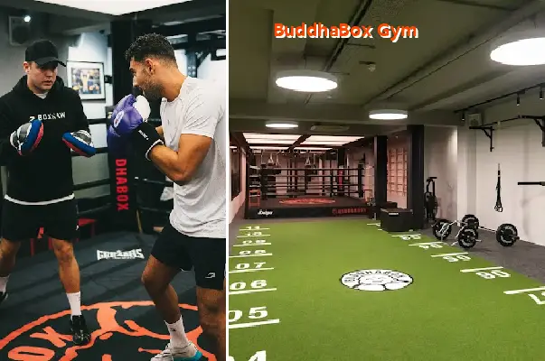 buddhabox gym
