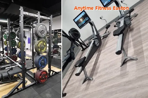 anytime fitness euston
