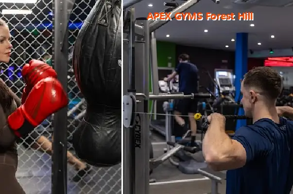 apex gyms forest hill