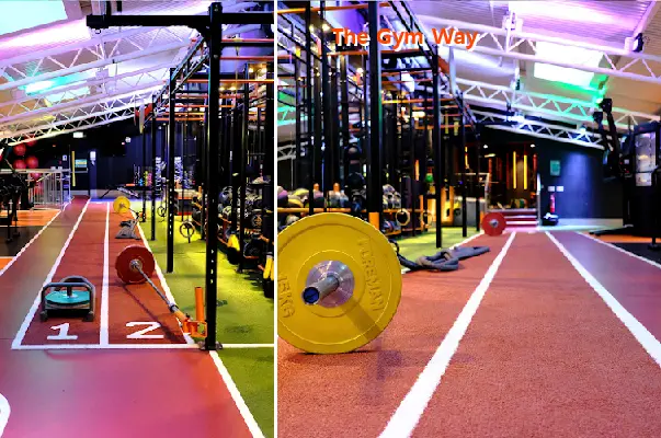 the gym way