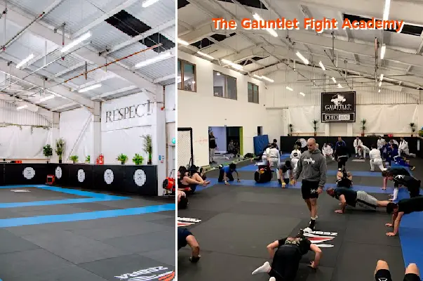the gauntlet fight academy