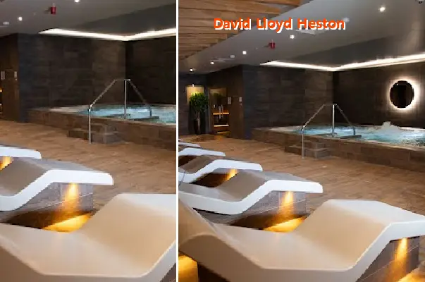david lloyd heston