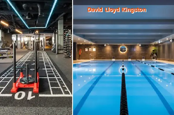 david lloyd kingston