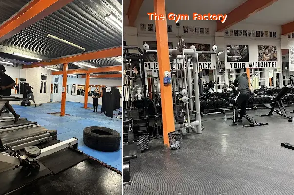 the gym factory