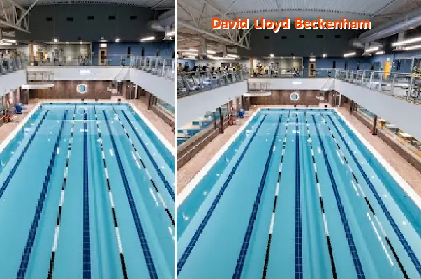 david lloyd beckenham
