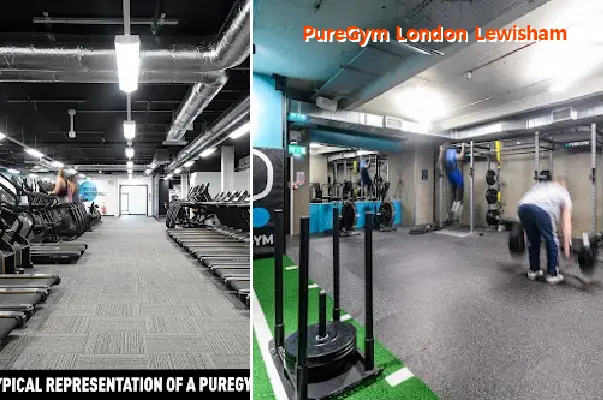 puregym london lewisham