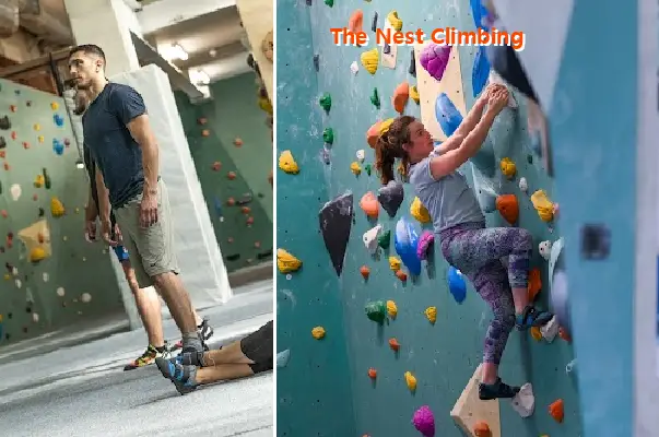 the nest climbing